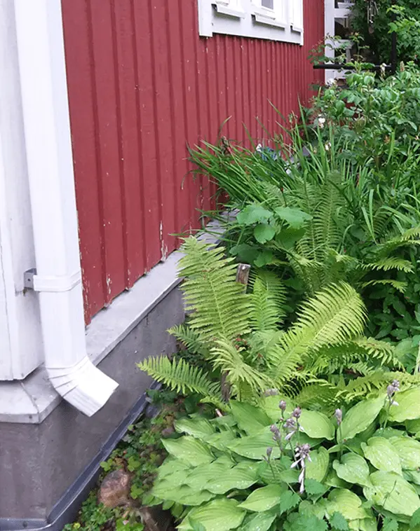kukkapenkki-talon-seinustalla